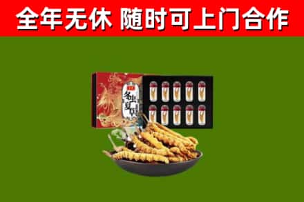 天全回收冬虫夏草价格